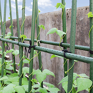 WAENLIR Garden Stakes Sturdy Plant Sticks/Support, tomato Stakes,