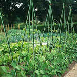 Load image into Gallery viewer, WAENLIR Garden Stakes Sturdy Plant Sticks/Support, tomato Stakes,
