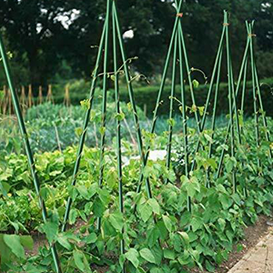 WAENLIR Garden Stakes Sturdy Plant Sticks/Support, tomato Stakes,