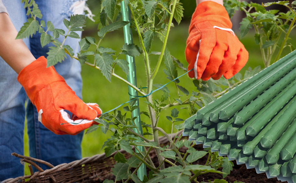 WAENLIR Garden Stakes Sturdy Plant Sticks/Support, tomato Stakes,
